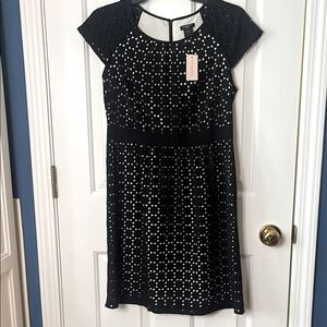 Ann Taylor Black and Cream Dress 4P NWT